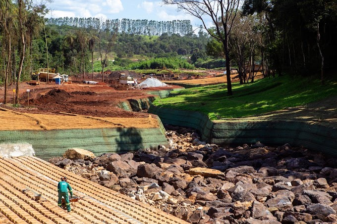 Ações de reflorestamento ainda dão os primeiros passos em Brumadinho