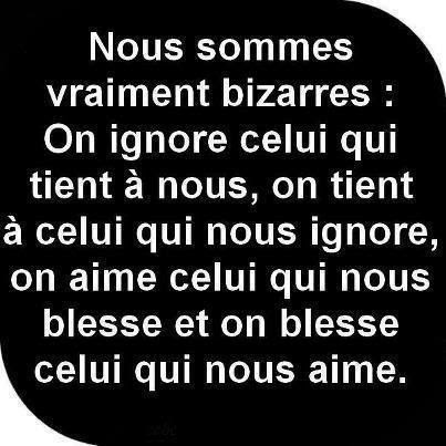 Citation Bonne Nuit Humour