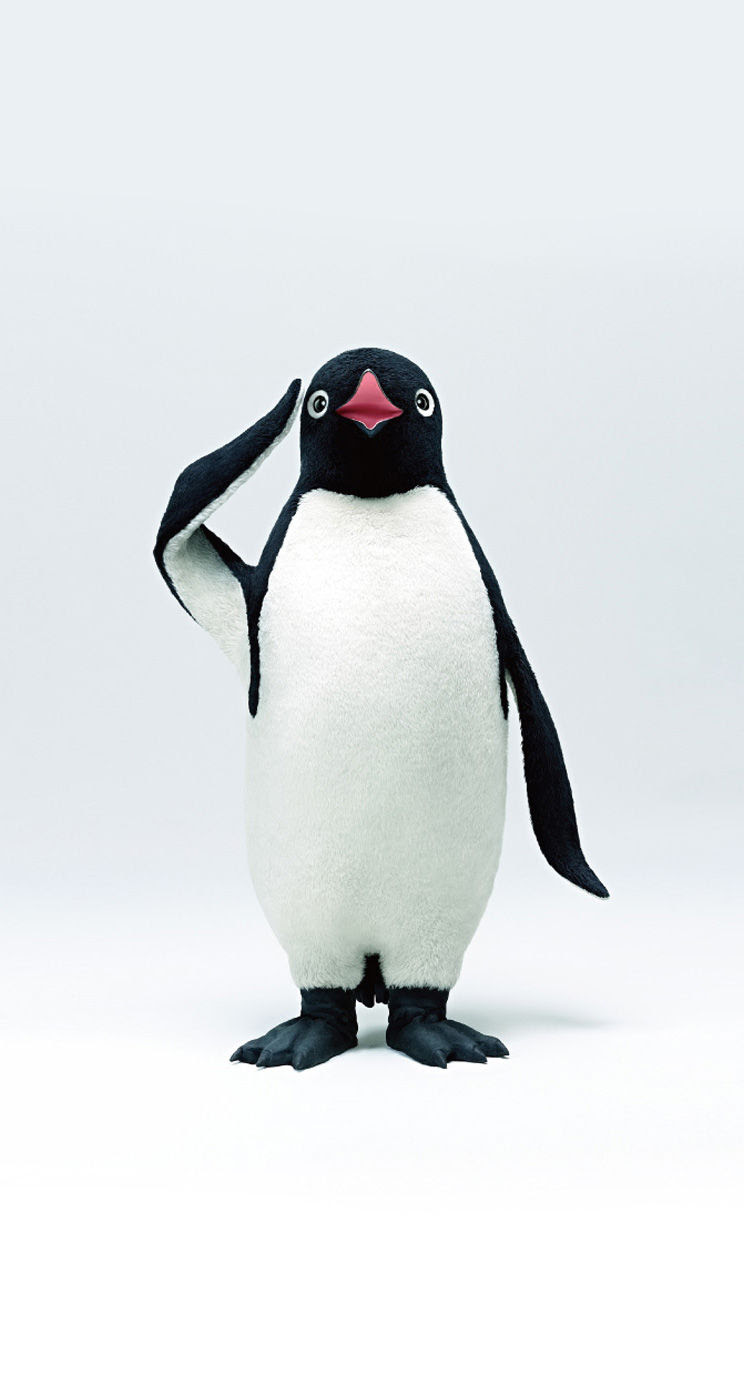 ここからダウンロード ペンギン 壁紙 Jpbestwallpaper