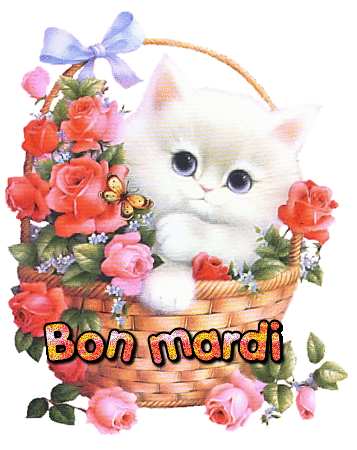 Meilleur Pour Gif Anime Image Bon Mardi Abdofolio
