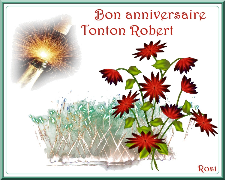 Joyeux Anniversaire Robert Humour Illaps