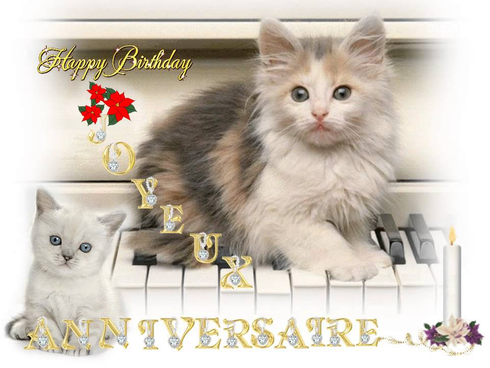 Carte Anniversaire Chat Qui Chante