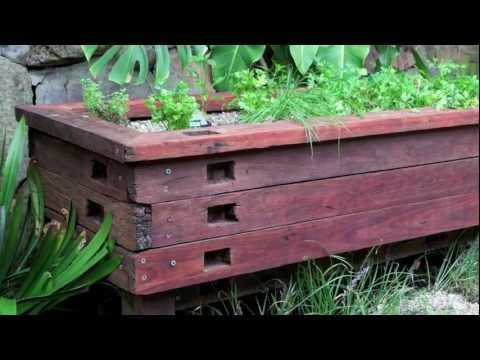 goldfish aquaponics ~ waters sistem