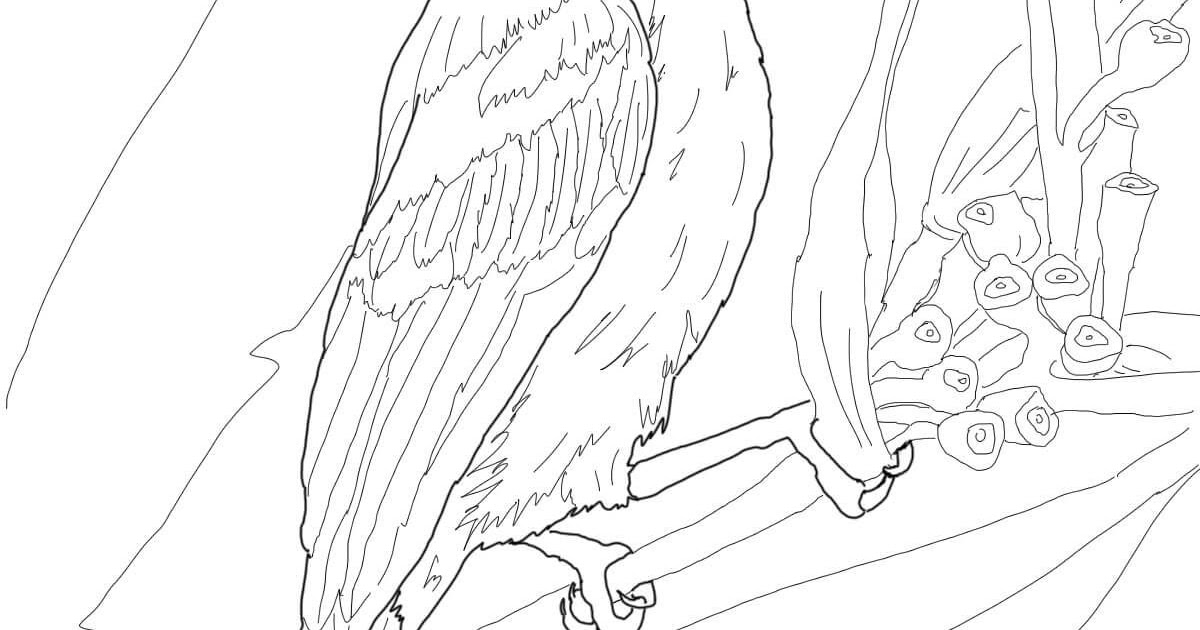 Birds Sunbird Coloring Pages - Chintami Info