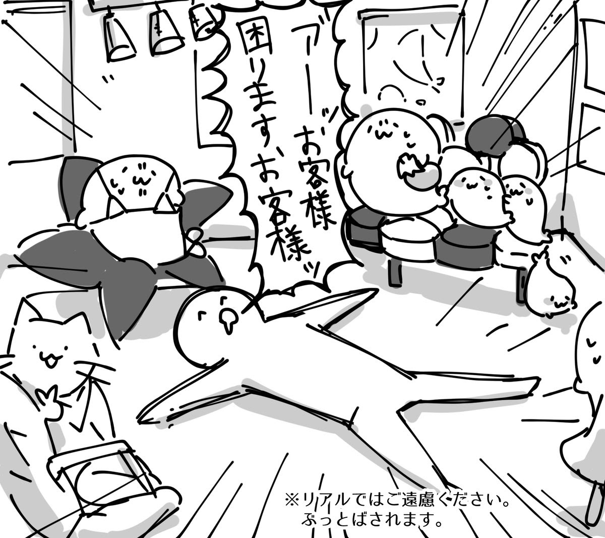 人気ダウンロード あざらしさん 壁紙 あざらしさん 壁紙