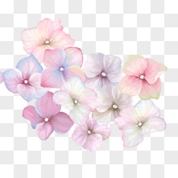 100以上 水彩 花 素材 水彩 花 素材集