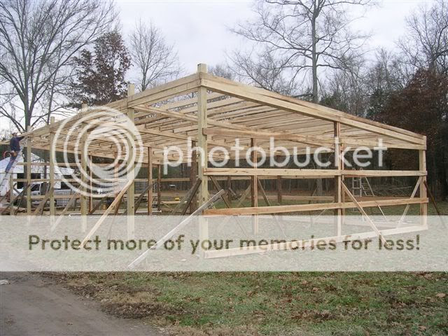 How to build a cheap cattle shed | easy build