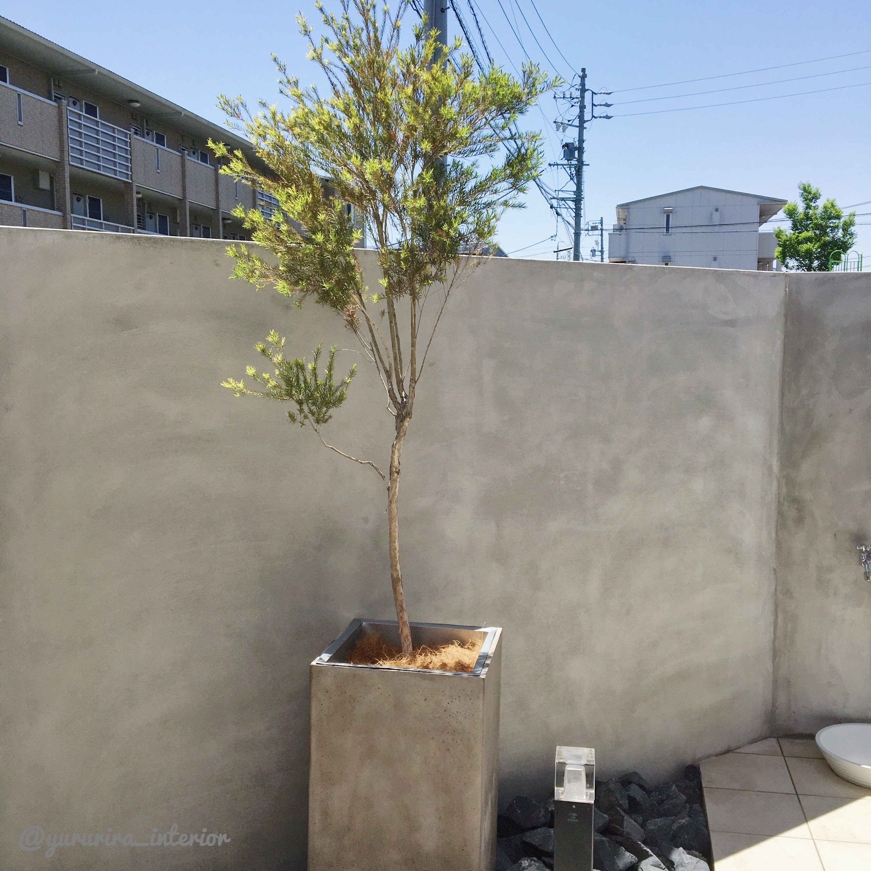 すべての美しい花の画像 最高庭 鉢植え おしゃれ