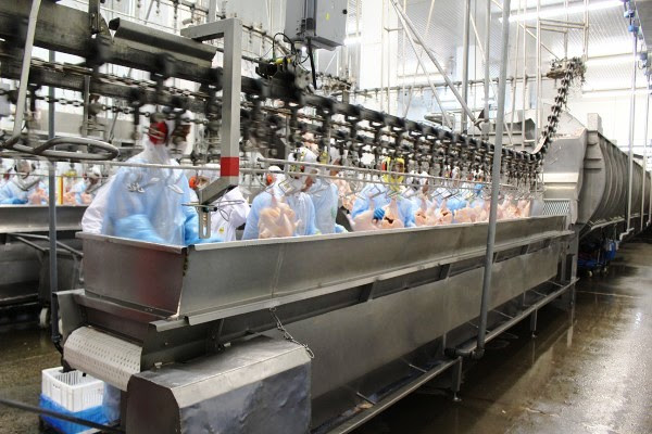 Funcionários da JBS trabalham na linha de produção da unidade em Rolândia, no Paraná, interditada após fiscalização este ano. Foto: MPT/PR