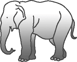 すべての動物の画像 75 象 イラスト リアル