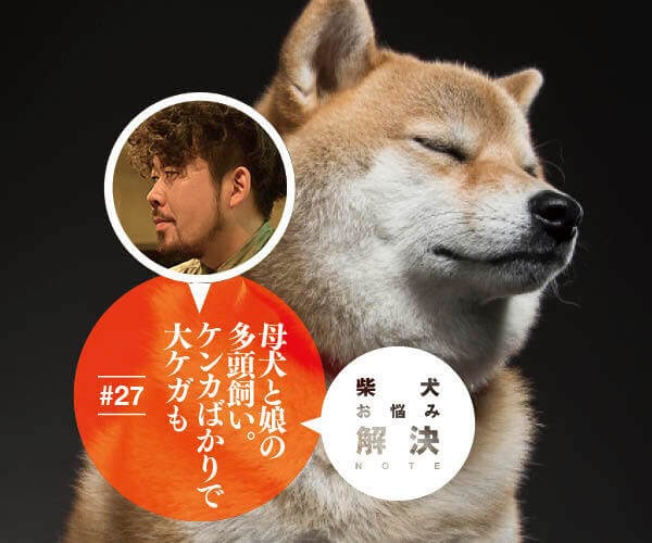 ダウンロード 犬 多頭飼い 喧嘩 犬 多頭飼い 喧嘩 Okepictydae