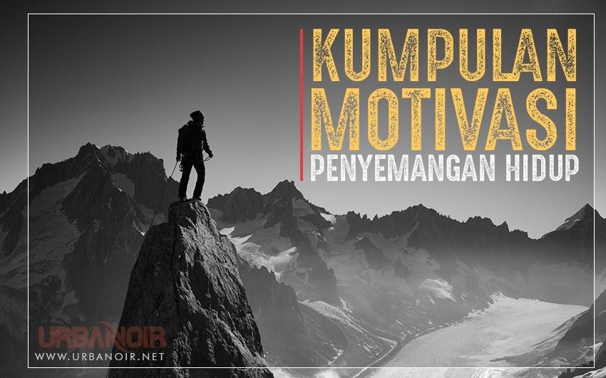 50+ Quotes Bijak Tentang Belajar - Quotes Hanna