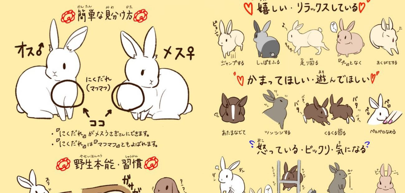 トップ100 うさぎ イラスト 簡単 無料イラスト集