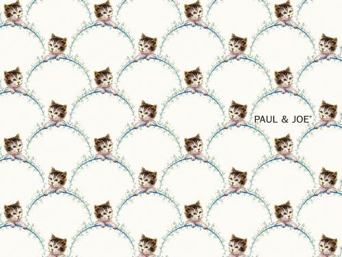 トップ100 壁紙 Paul Joe 待ち受け すべての美しい花の画像