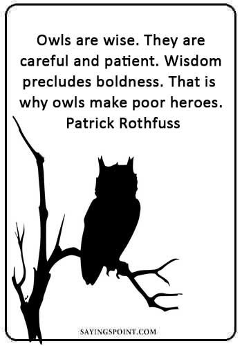 'there is no such thing as loneliness. 40 Beautiful Owl Quotes And Sayings Sayings Point