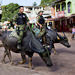 Military police officers patrolled on water buffaloes in Soure, a town of about 23,000 people on Marajó Island, as they have done since the 1990s.