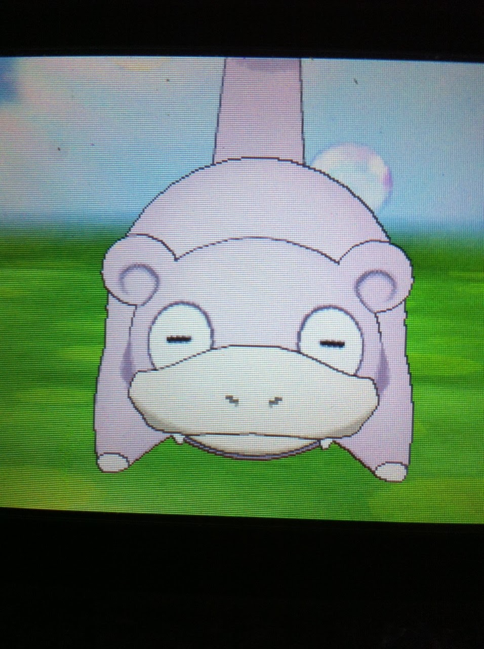 ポケモン サンムーン ヤドン イメージポケモンコレクション