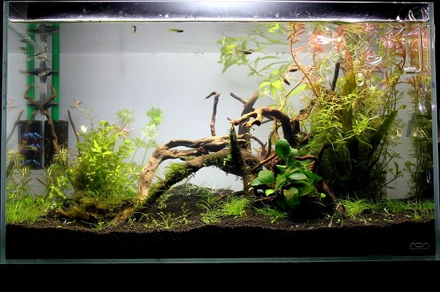 Adaキューブガーデンミスト Nature Aquarium Fan