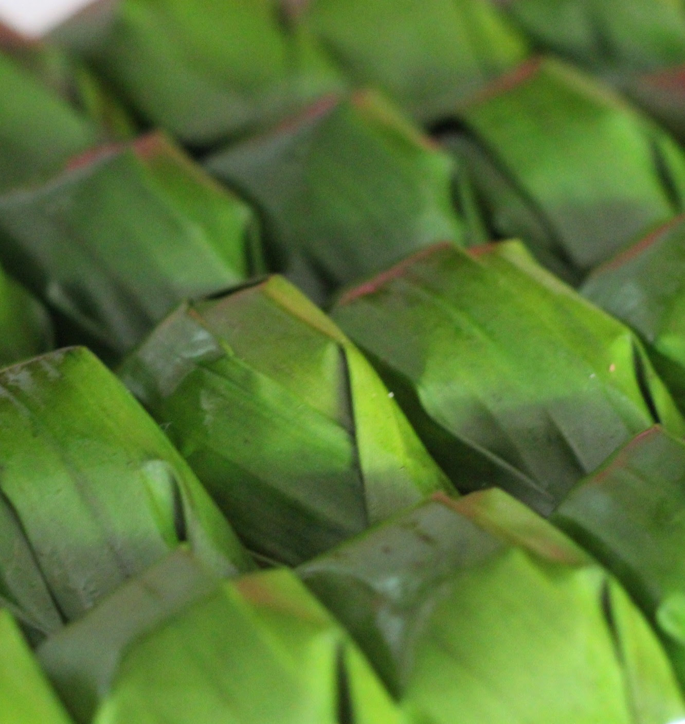 Kuih Koci Pandan - Opening x