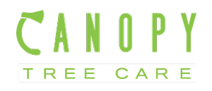 Canopy Tree Services Charleston West Ashley Tree Care