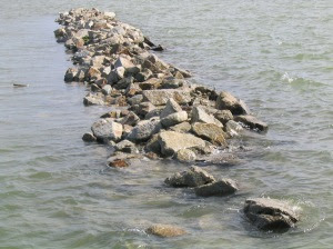 stones in water