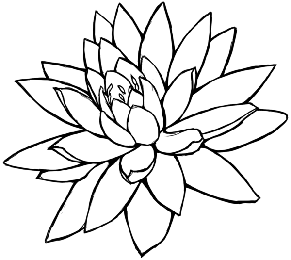 Free Lotus Tattoo Png Download Free Clip Art Free Clip Art On Clipart Library Discover and download free lotus flower png images on pngitem. clipart library