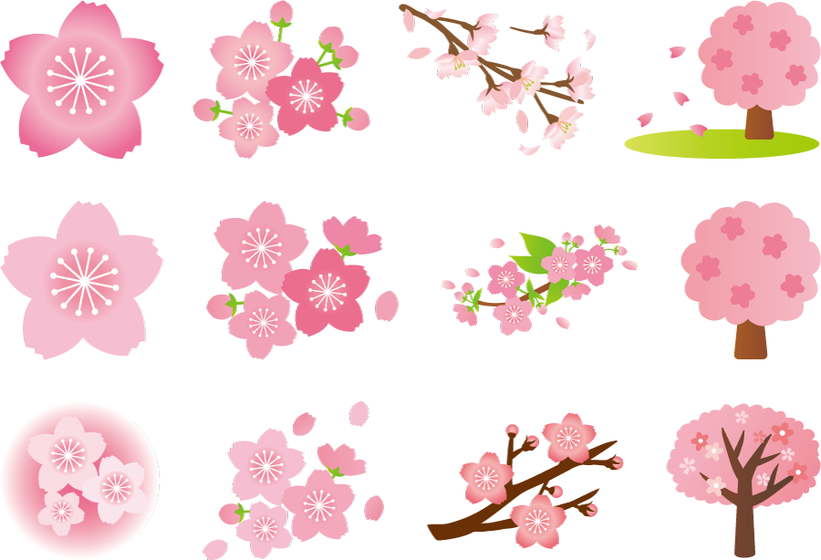 子供向けぬりえ ぜいたく桜 花びら イラスト 無料