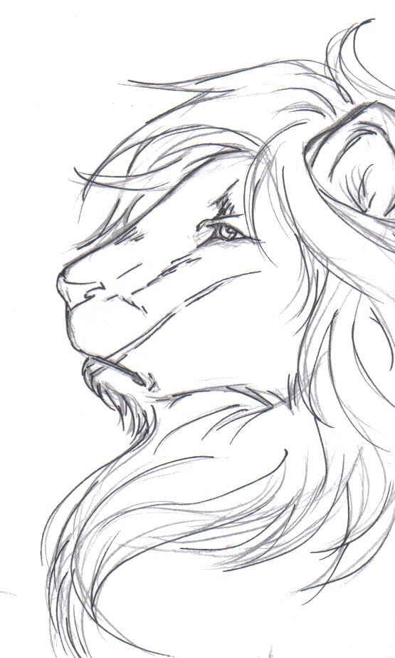735 x 852 jpeg 103 кб. Anime Lion Drawing At Getdrawings Free Download