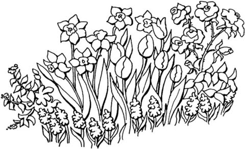 10 flower coloring sheets for kids and adults. Flowers In The Garden Coloring Page Free Printable Coloring Pages