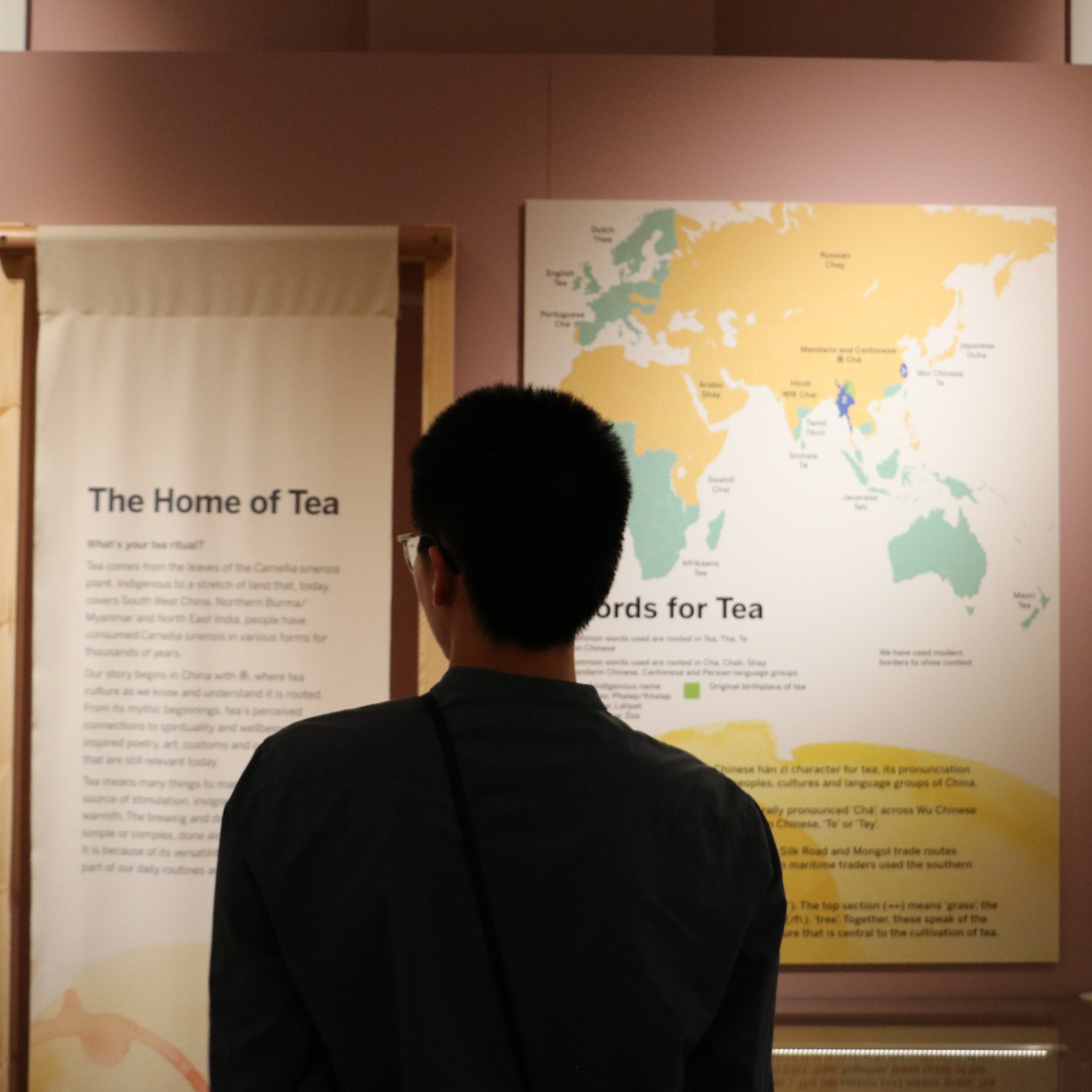 A person from behind, looking at a vertical banner of text 'The Home of Tea' alongside larger panel featuring a map/infographic of 'Words for Tea'.