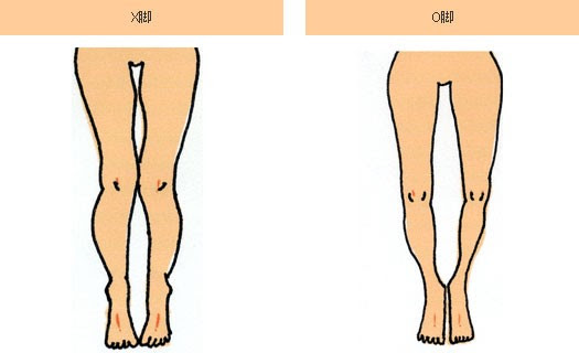 Testter ふくらはぎ 外側 筋肉 落とす 歩き方