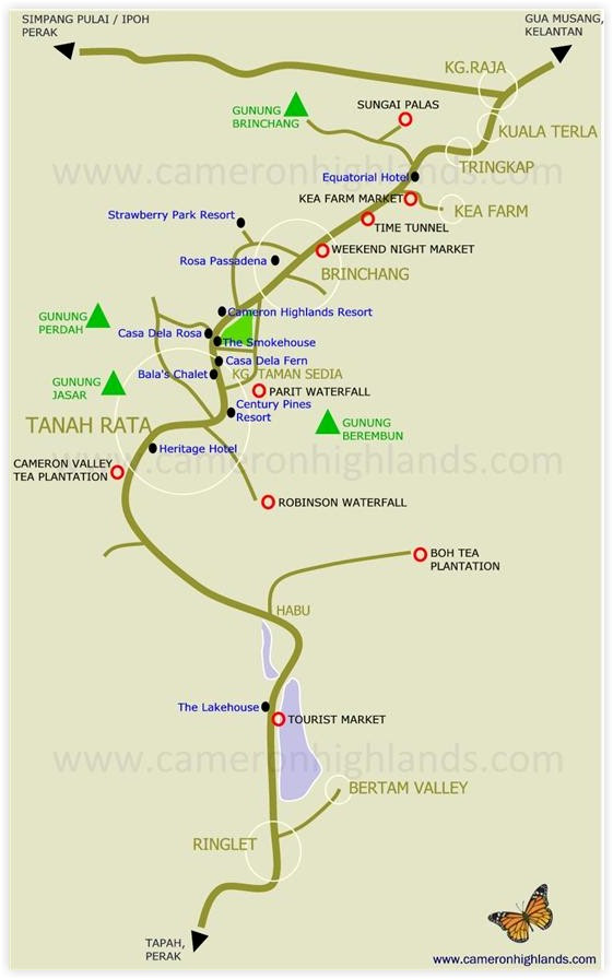 Check trip schedule and travel distance. The Lion And The Lamb Lion S Guide To Cameron Highlands Part 3 The Towns