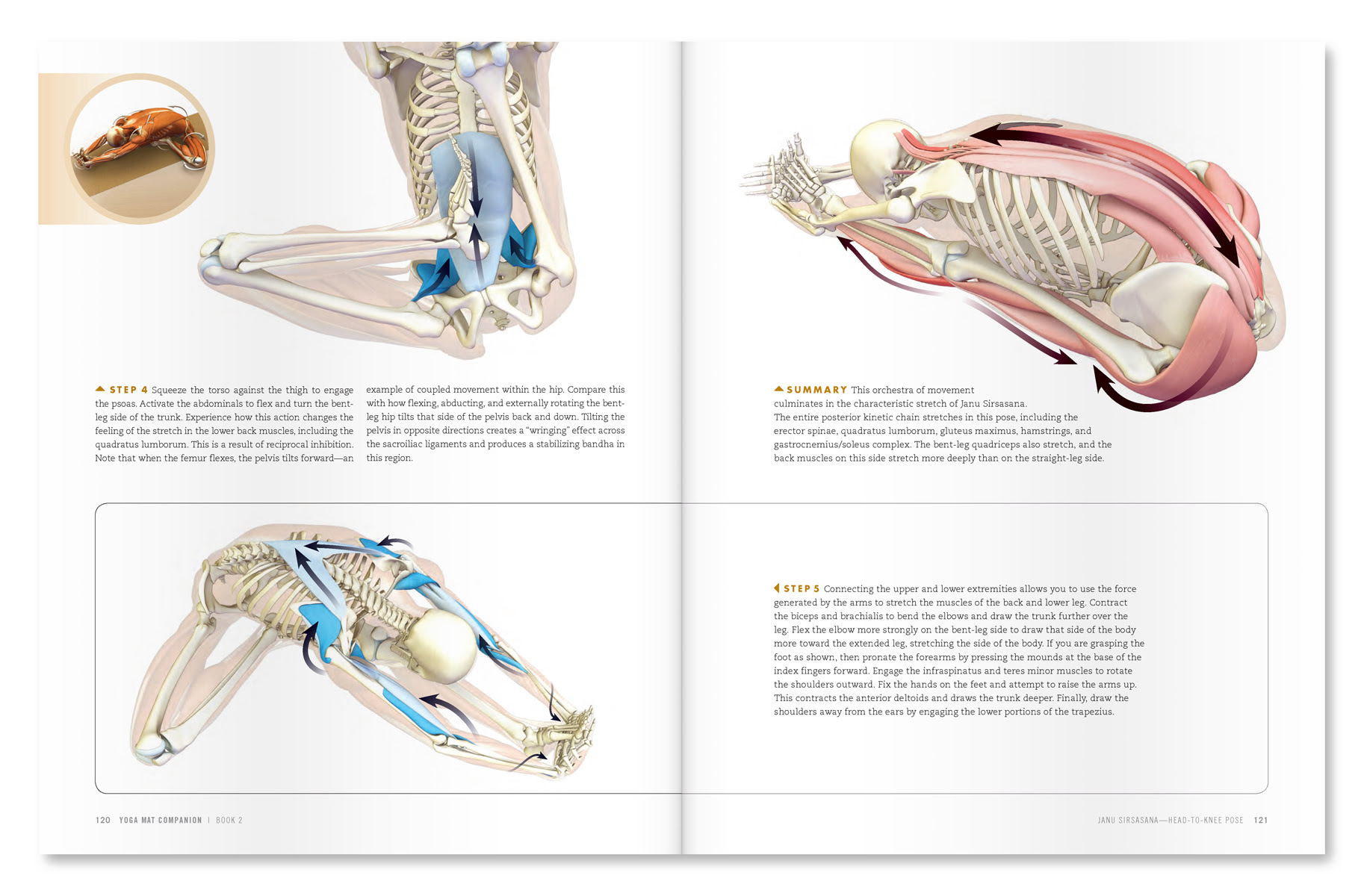 The pose itself is much older, but was known by other names. The Daily Bandha September 2013