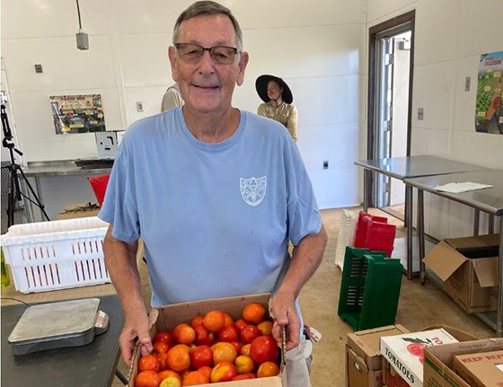 Ancient practice of gleaning