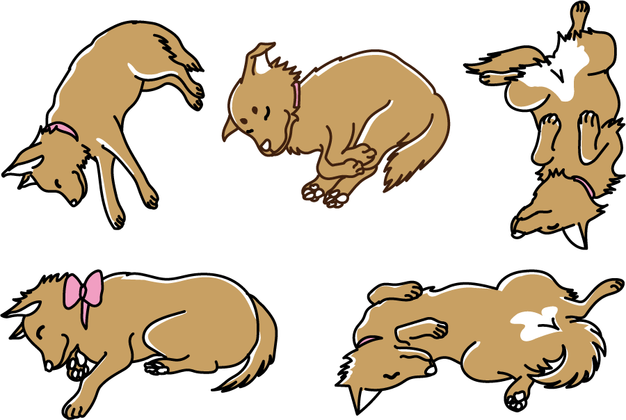 新鮮な動物 寝てる イラスト 最高の動物画像
