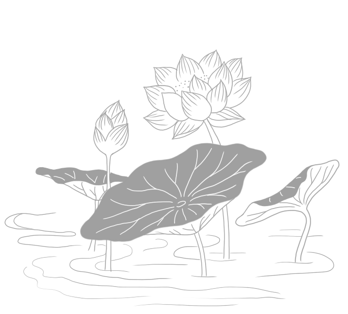 すべての美しい花の画像 100 Epic Bestハス の 花 喪中 イラスト