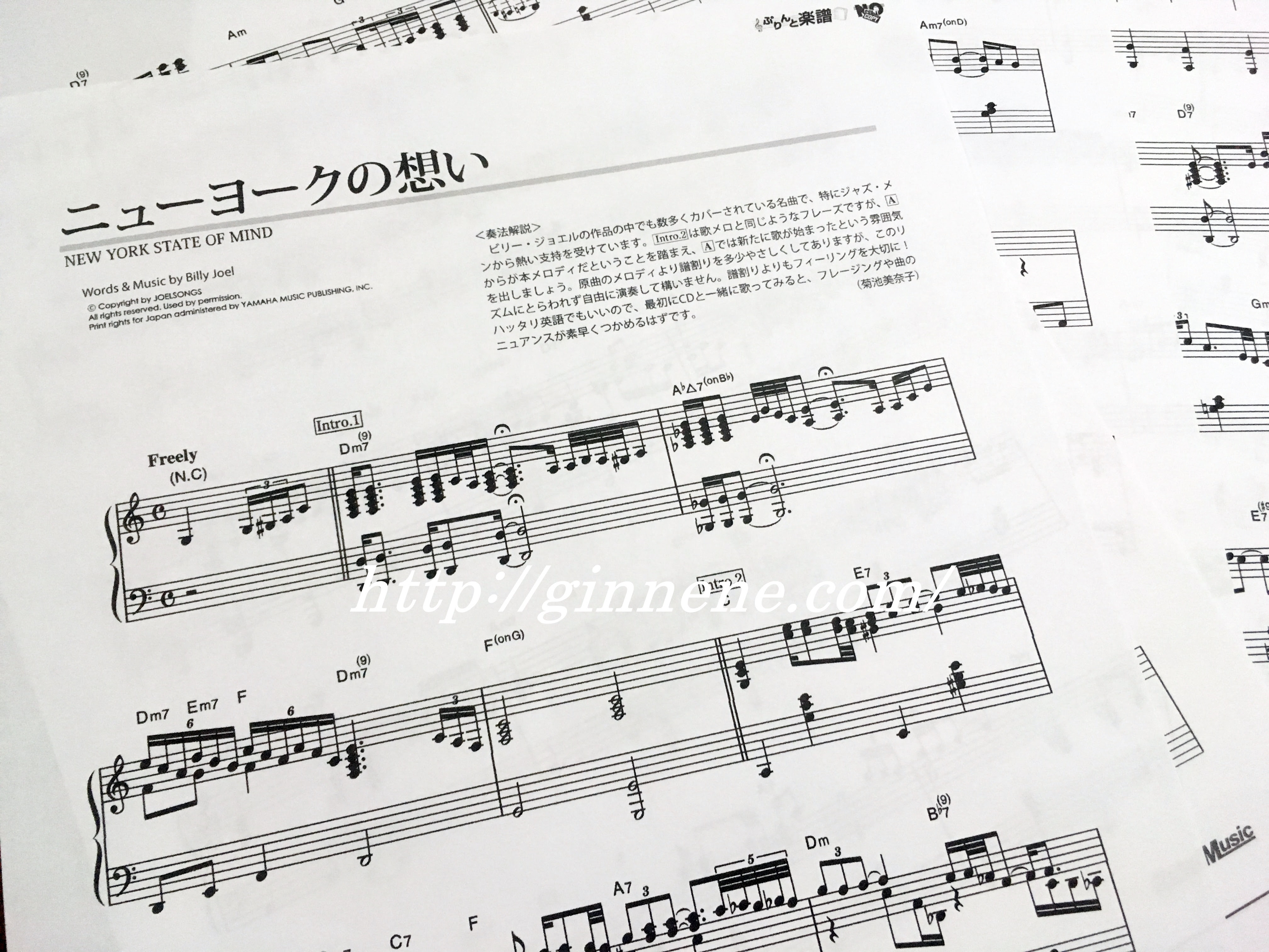 動物画像無料 最高のピアノ 曲 かっこいい