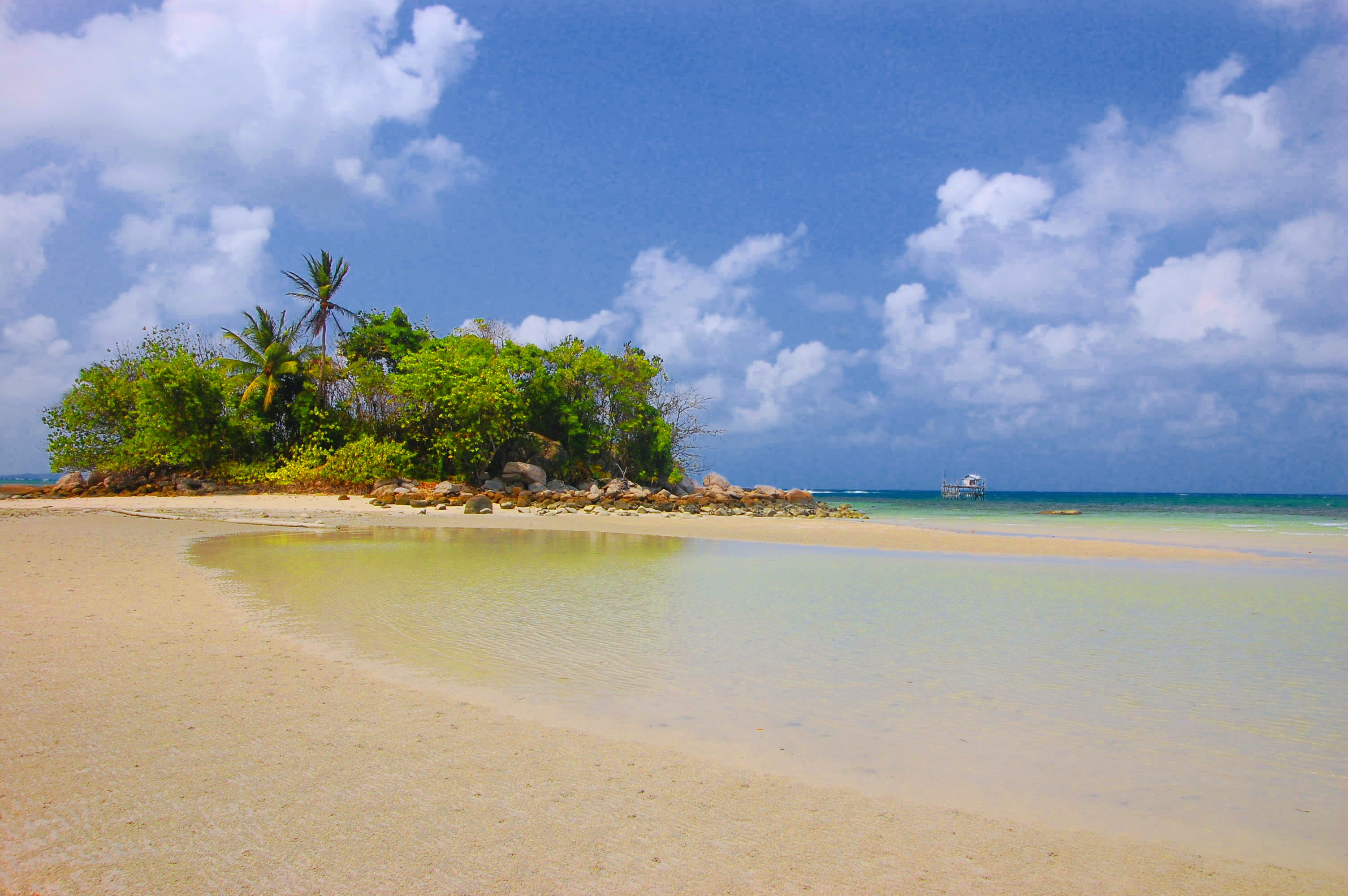 Gambaran Pemandangan  Tepi Pantai 