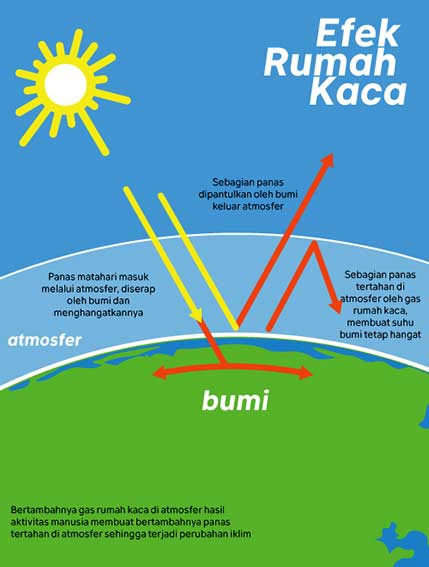 Fantastis 11 Gambar Rumah  Kaca  Gani Gambar