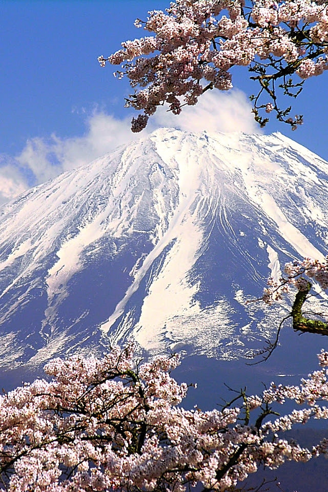 すべての花の画像 ユニーク高 画質 富士山 スマホ 壁紙