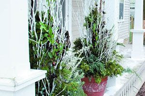 Winter Containers