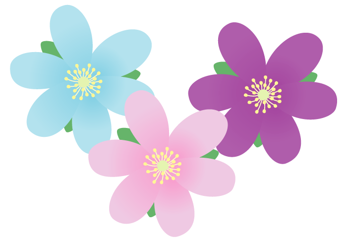 クチナシ イラスト クチナシ イラスト 素材
