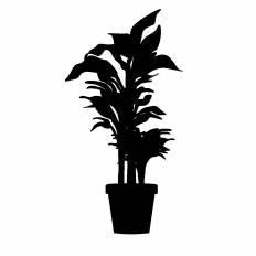 かわいい動物画像 50 観葉植物 イラスト