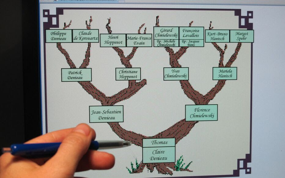 arbre en 5 lettres