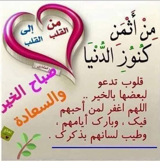 "فائدة" ربي أنزلني مُنْزَلًا مُبَارَكًا وَأَنْتَ خير ...