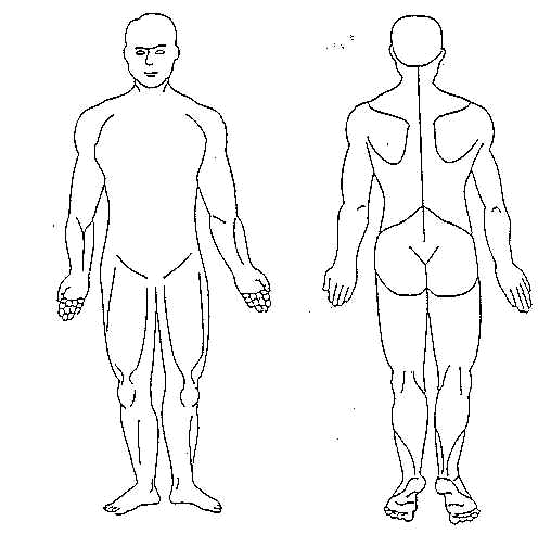 Anatomical positions are important because they give us a frame of reference for describing the body. Free Blank Body Download Free Blank Body Png Images Free Cliparts On Clipart Library