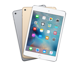 ipad mini 4 primary