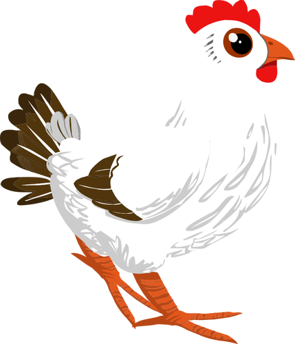  ayam  Gambar  Ayam  Vektor Png 