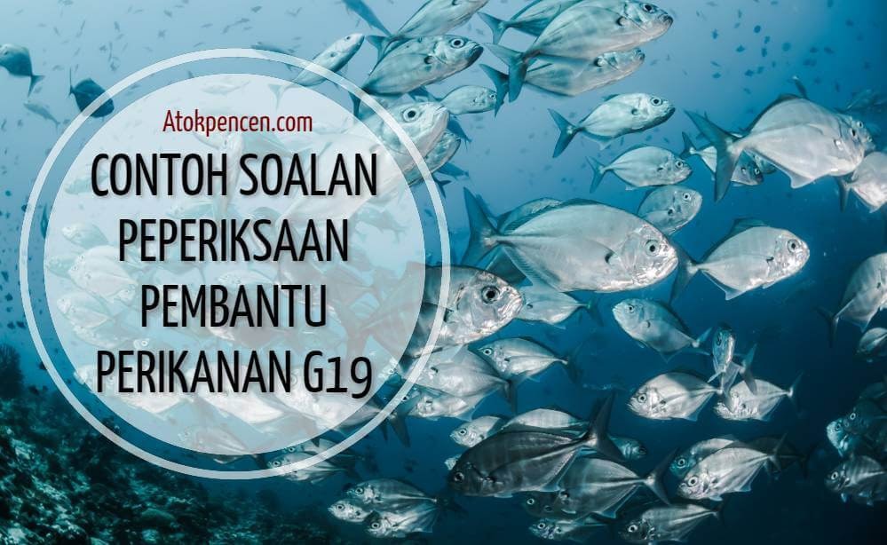 Contoh Soalan Temuduga Pembantu Penyediaan Makanan N19 