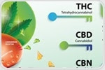 Crystal Structure of the Human Cannabinoid Receptor CB2